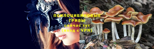 МДМА Богородицк