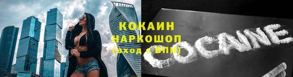 первитин Богданович