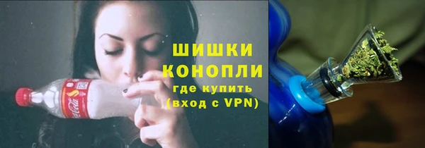 первитин Богданович