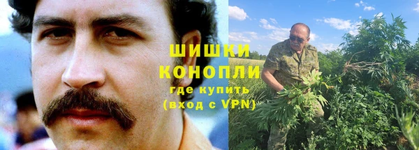 первитин Богданович