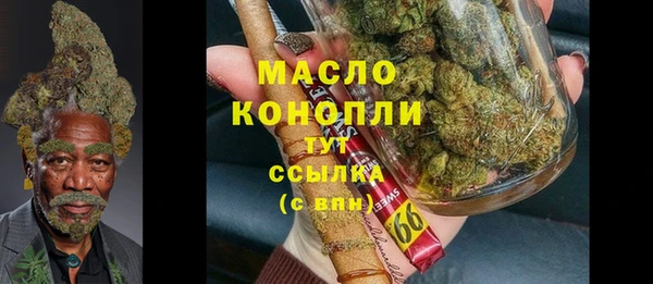 первитин Богданович