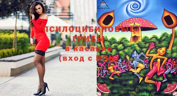 первитин Богданович
